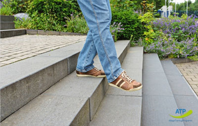 Alltags-Trainings-Programm